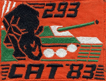 2. Kompanie Panzer Bataillon 293 - West Germany